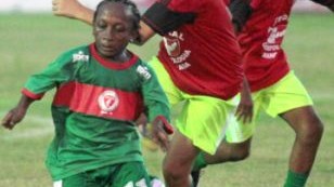 从禁区到传奇：盘点那些身高受限却震撼体坛的侏儒症球员