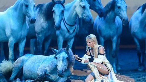 世界传统驯马大会马术秀｜三大马文化流派同台共舞